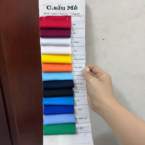 CÁ SẤU MÈ 2 CHIỀU